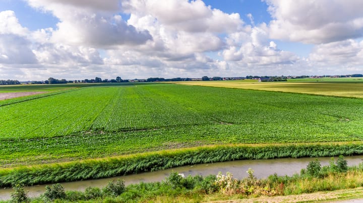 Foto 76 van Nieuwebildtdijk 206