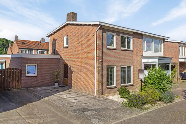 undefined main image