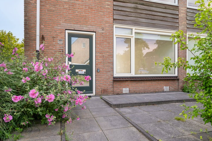 Bekijk foto 31 van Rietstraat 29