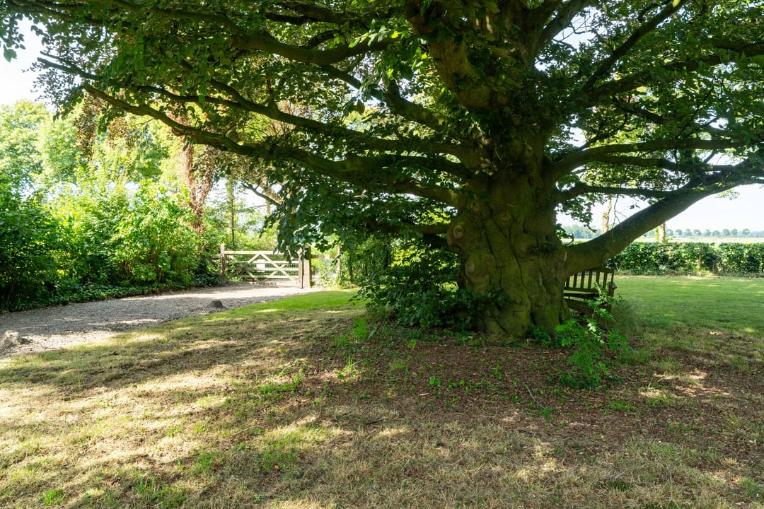 Foto 68 van Veenakkers 58