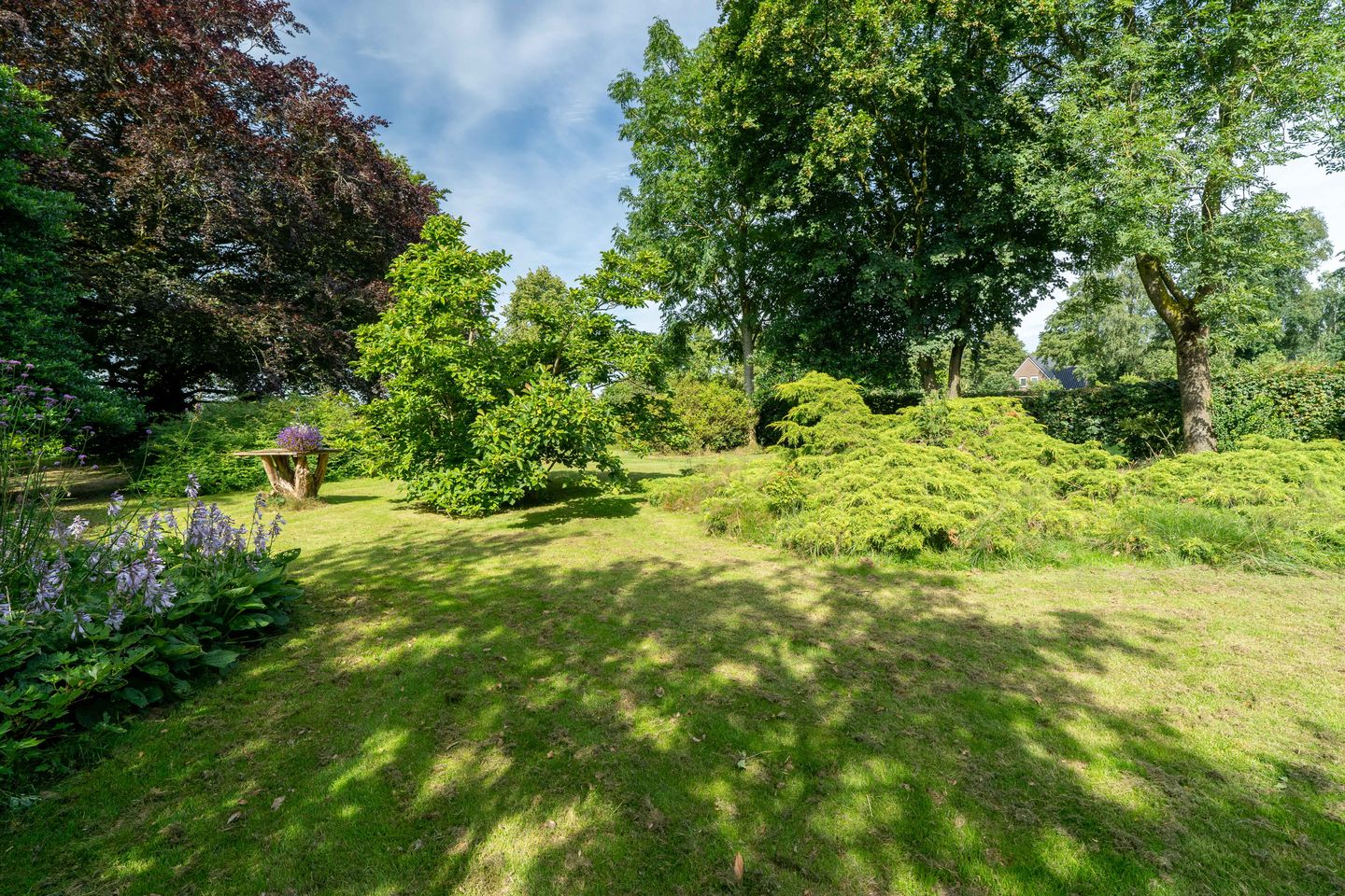 Foto 70 van Veenakkers 58