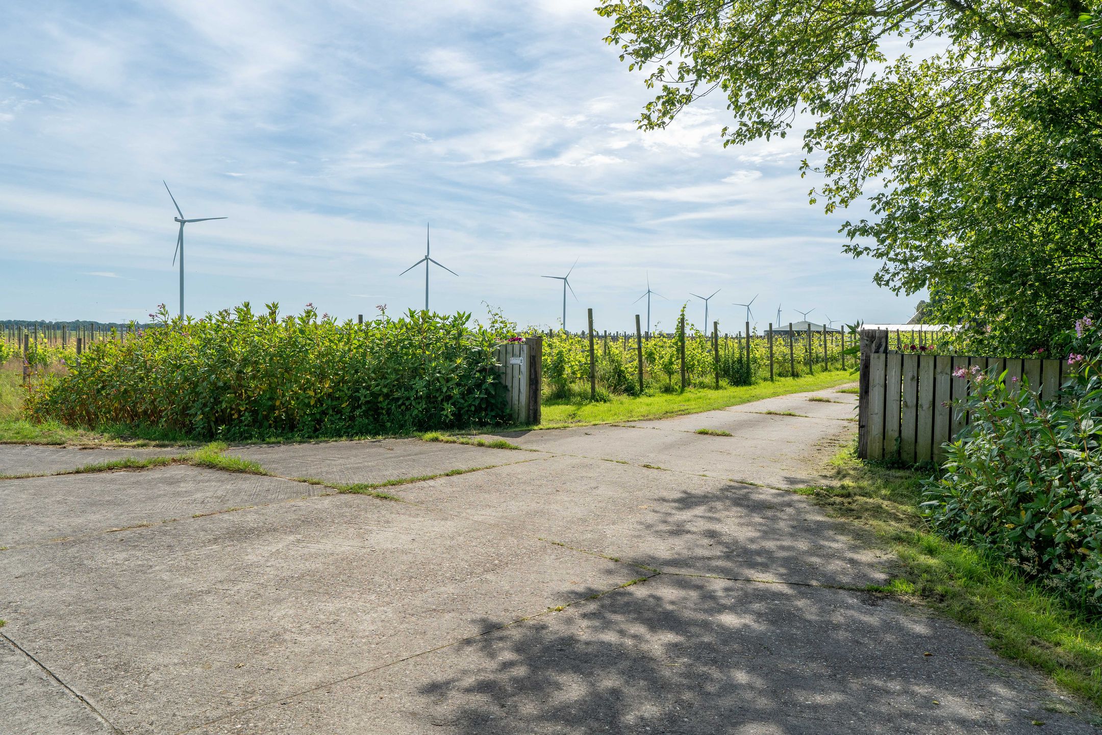 Foto 75 van Veenakkers 58