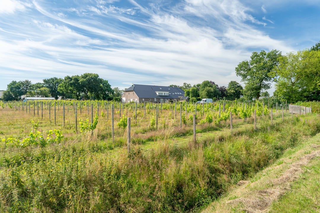 Foto 76 van Veenakkers 58