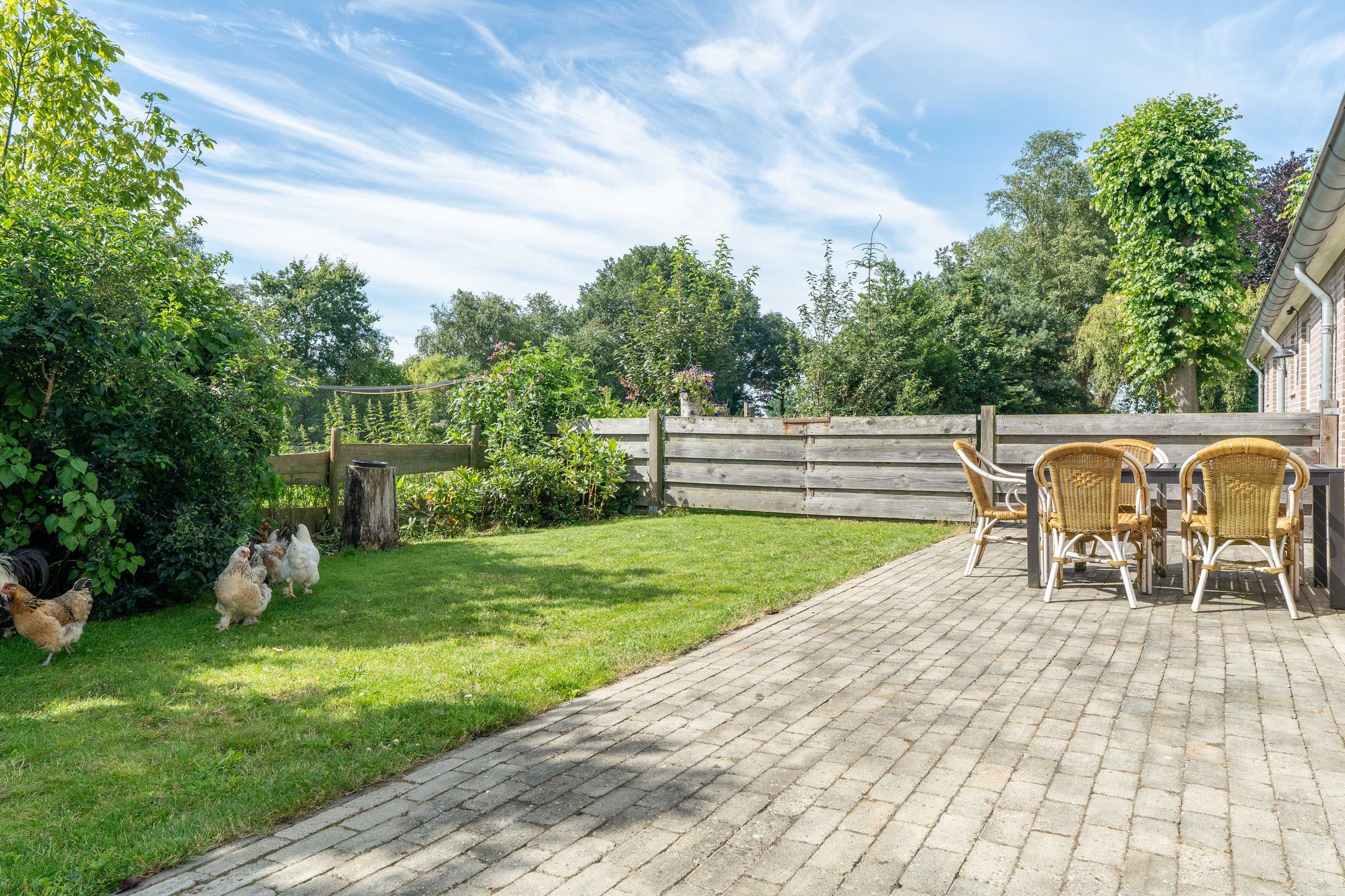 Foto 87 van Veenakkers 58