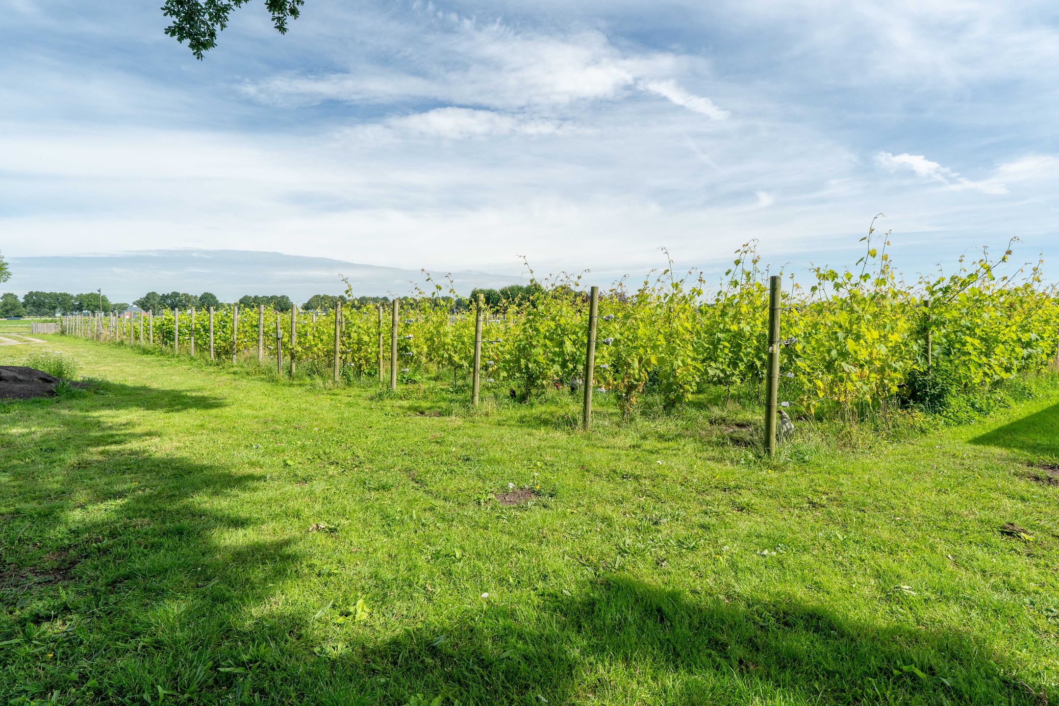 Foto 135 van Veenakkers 58