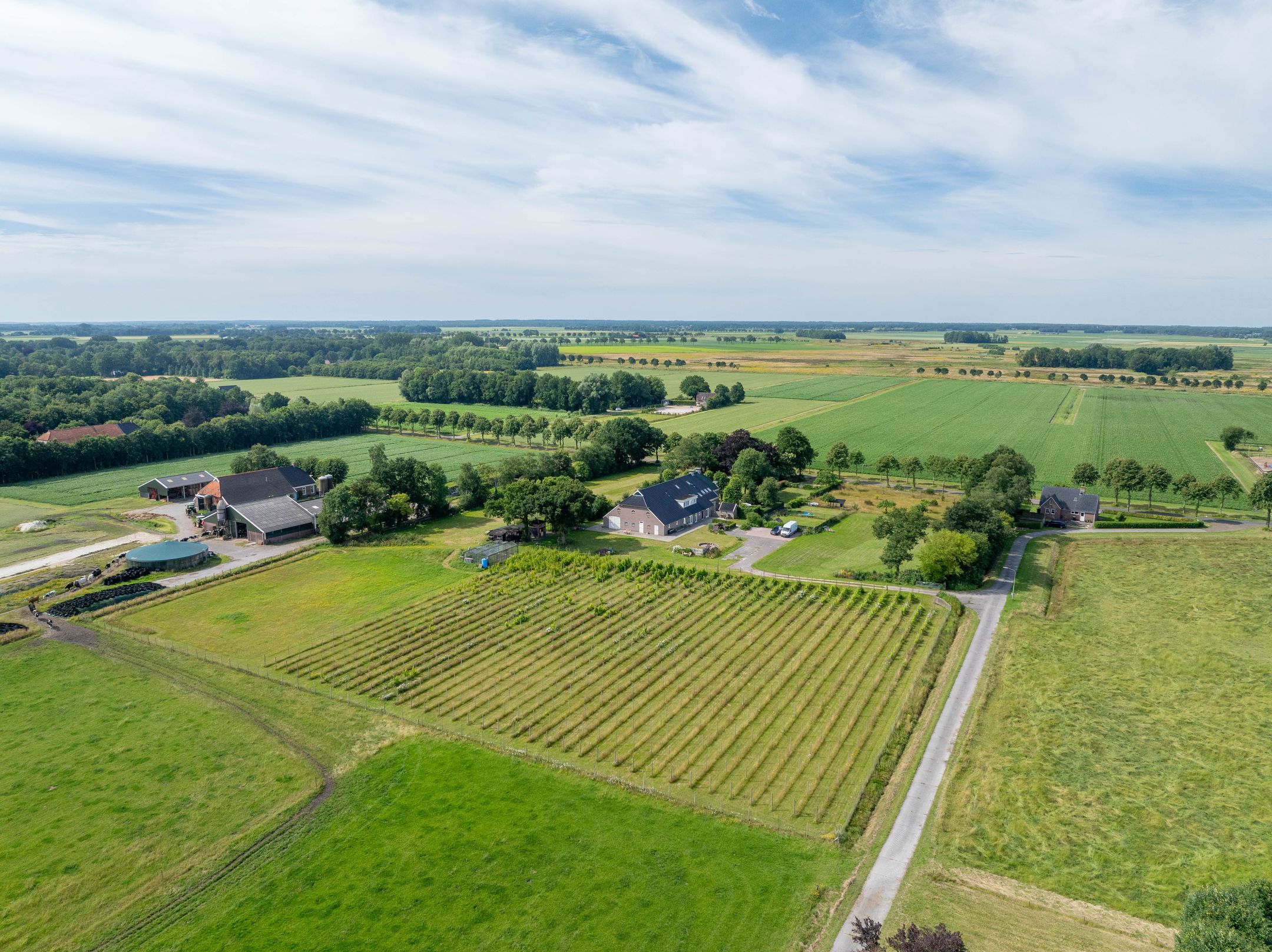 Foto 141 van Veenakkers 58