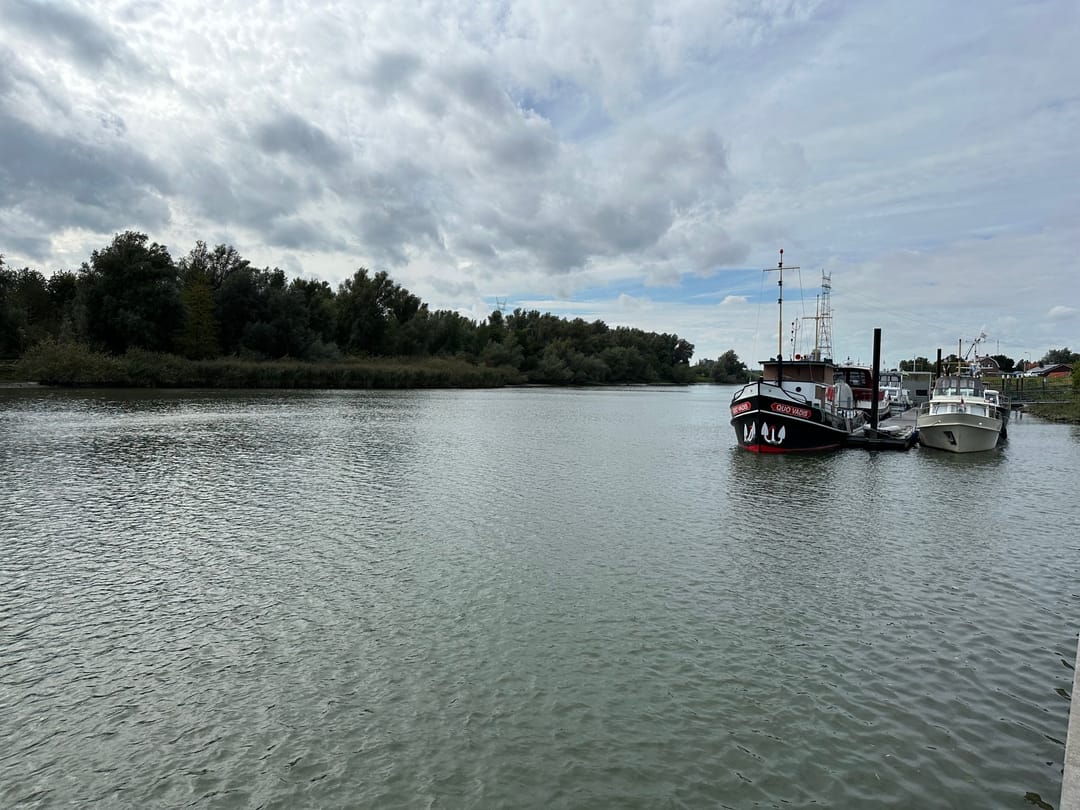 Foto 8 van Molendijk