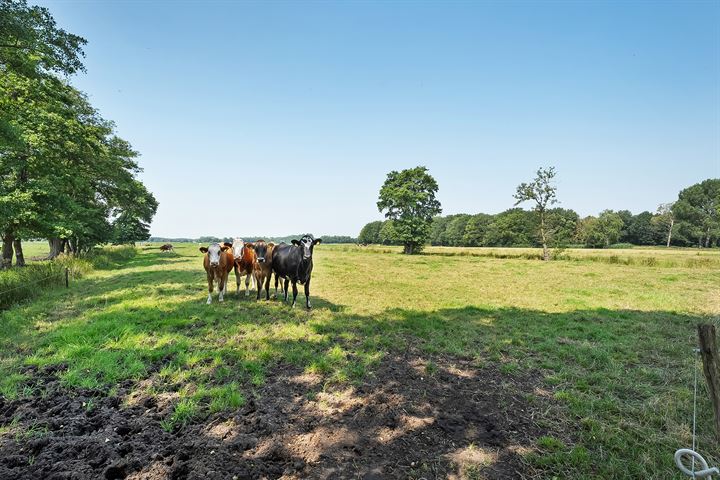 Bekijk foto 54 van Langewijk 44