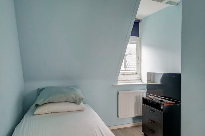 Foto 21 van Bothastraat 39