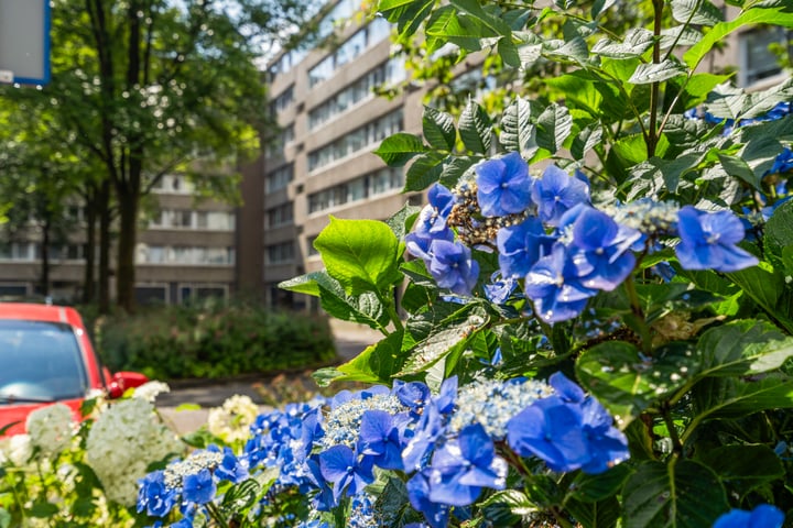 Bekijk foto 1 van Veenbesstraat 704