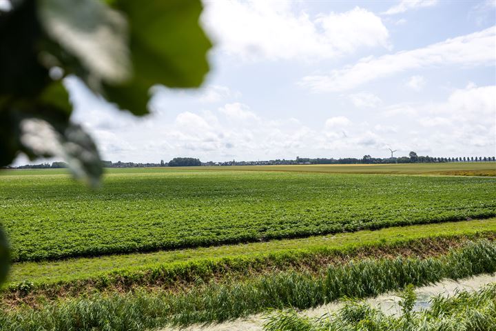 Bekijk foto 5 van Oudebildtdijk 292