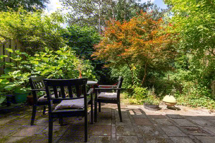 Foto 36 van Viottastraat 7