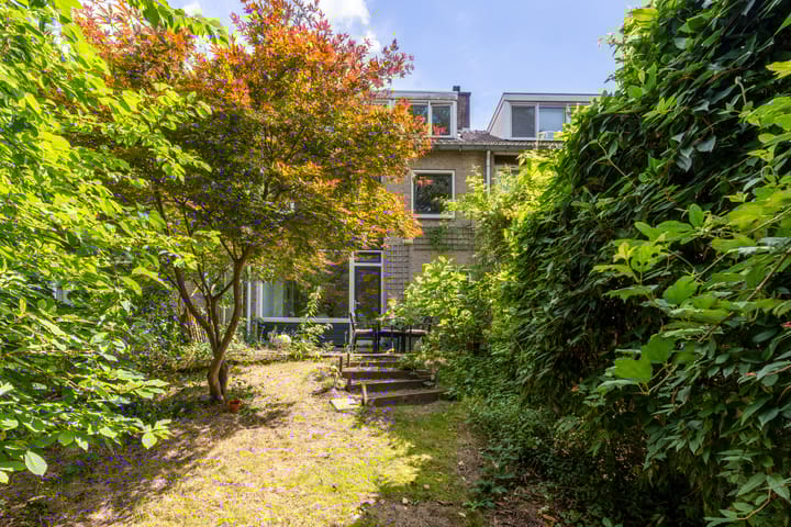 Foto 37 van Viottastraat 7