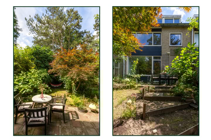 Foto 39 van Viottastraat 7