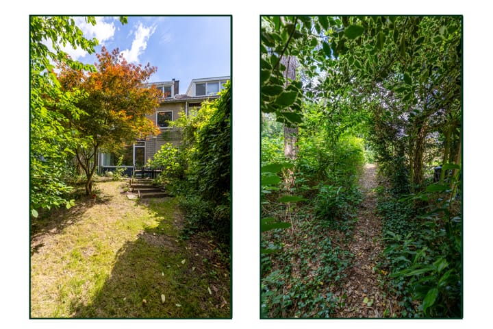 Foto 40 van Viottastraat 7