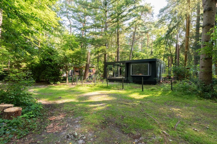 Foto 2 van Onder de Bos 241-5