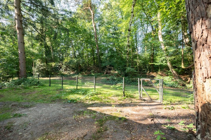 Foto 6 van Onder de Bos 241-5