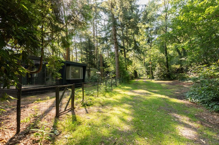 Foto 7 van Onder de Bos 241-5