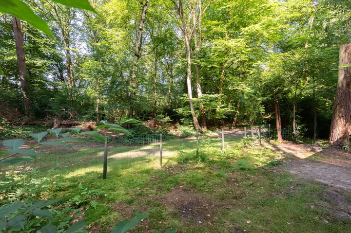 Foto 8 van Onder de Bos 241-5