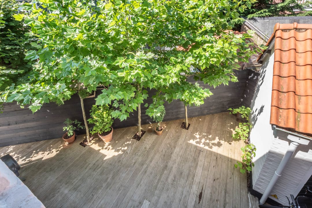 Foto 31 van Duinlustparkweg 52