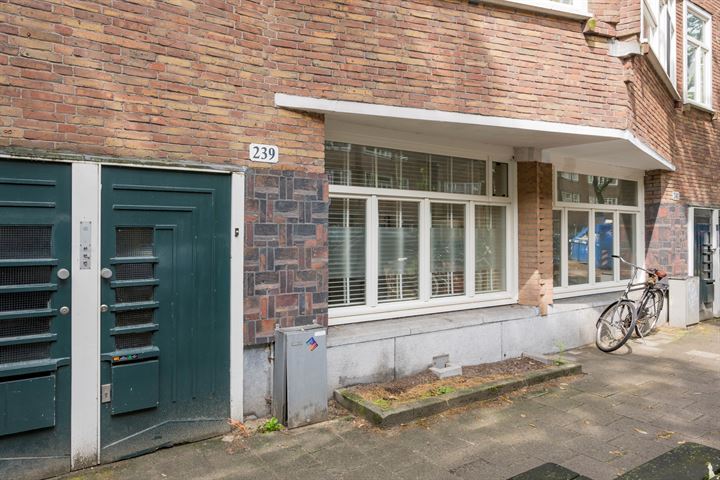 Bekijk foto 21 van Orteliusstraat 239-H