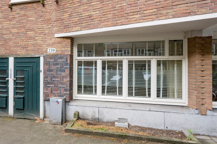 Bekijk foto 22 van Orteliusstraat 239-H