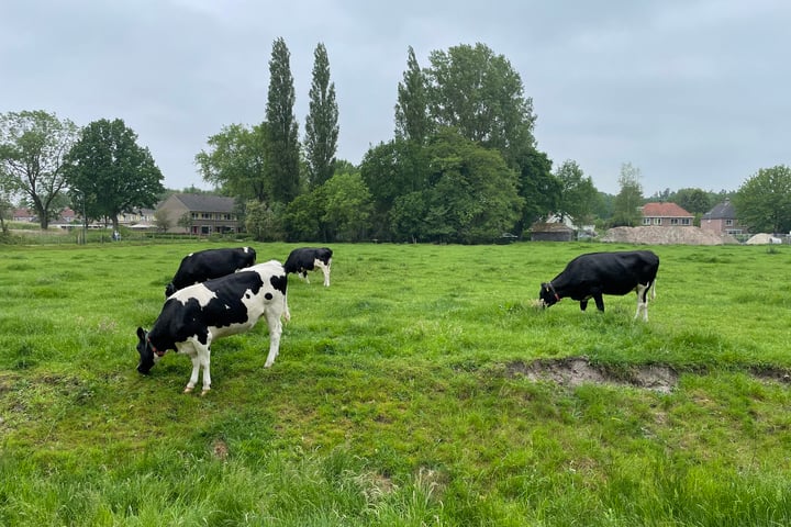 Bekijk foto 4 van Willemslaan 18