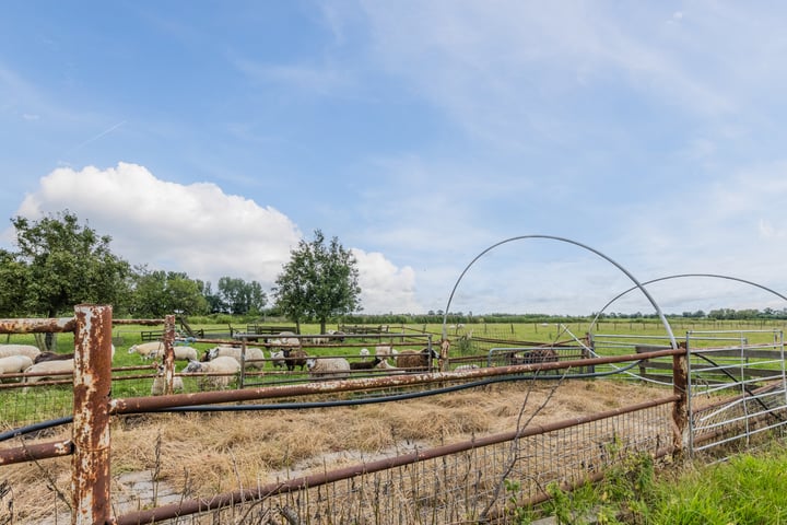 Bekijk foto 42 van Zouteveenseweg 4-A