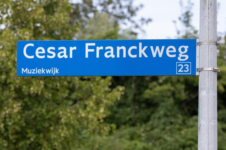 Bekijk foto 23 van Cesar Franckweg 24