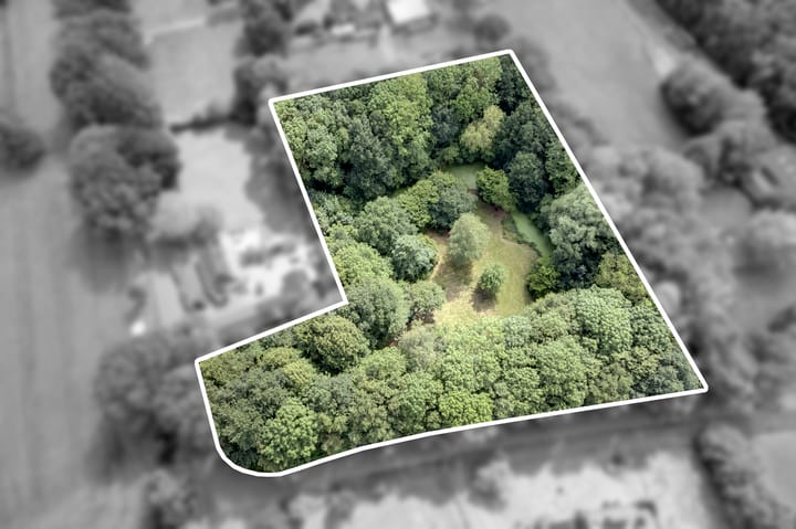 Foto 1 van Schilligepad 32