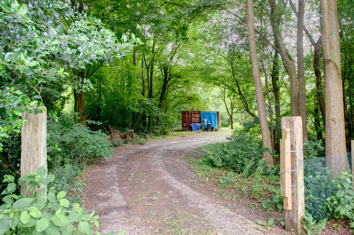 Foto 4 van Schilligepad 32