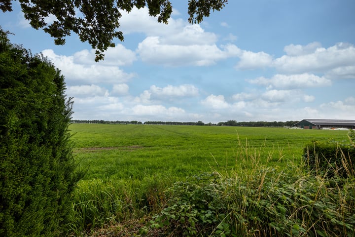 Bekijk foto 35 van Graaf Florisstraat 23