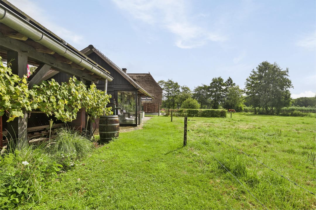 Photo 26 of Ruitenveen 1