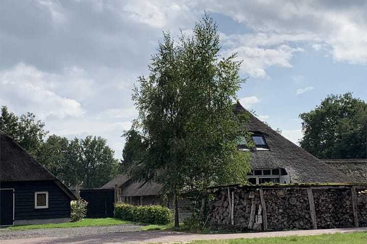 Photo 40 of Ruitenveen 1