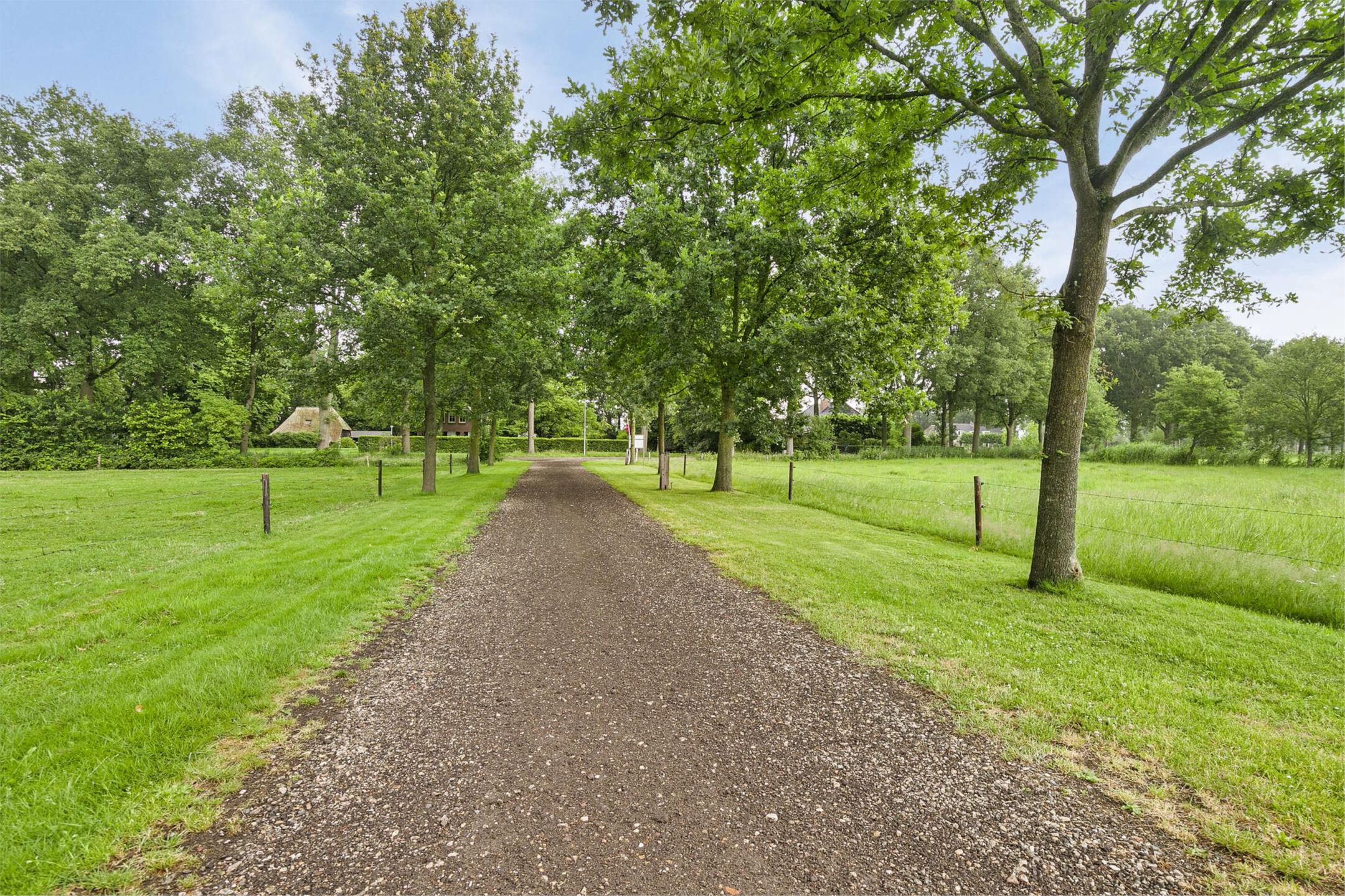 Photo 51 of Ruitenveen 1