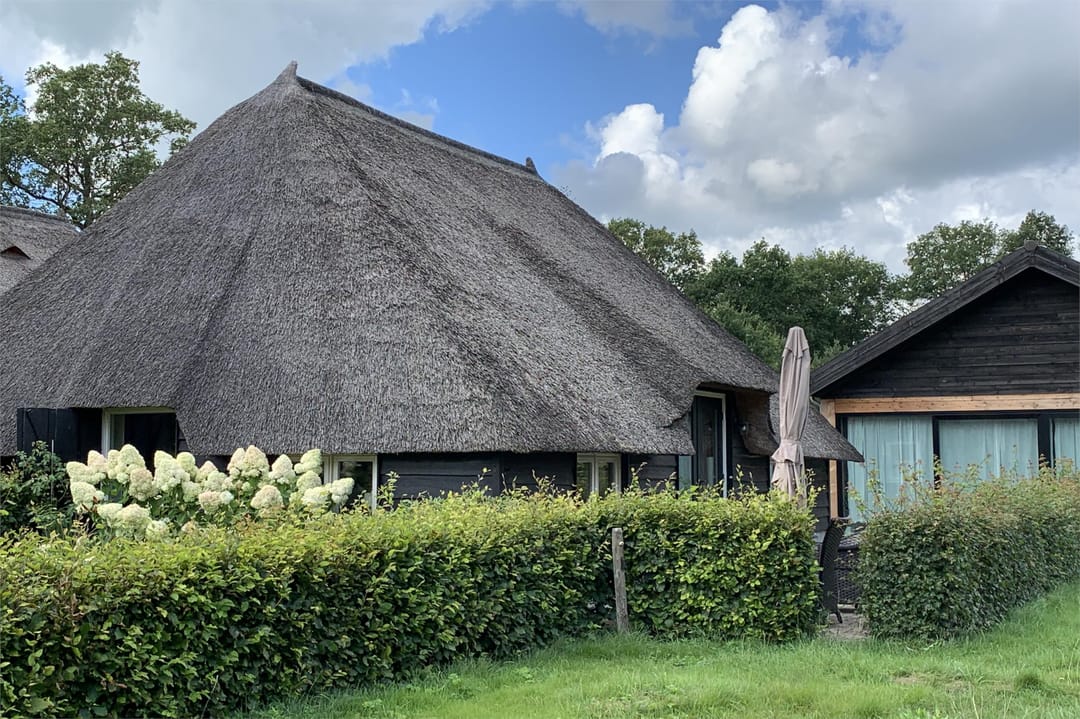 Photo 53 of Ruitenveen 1