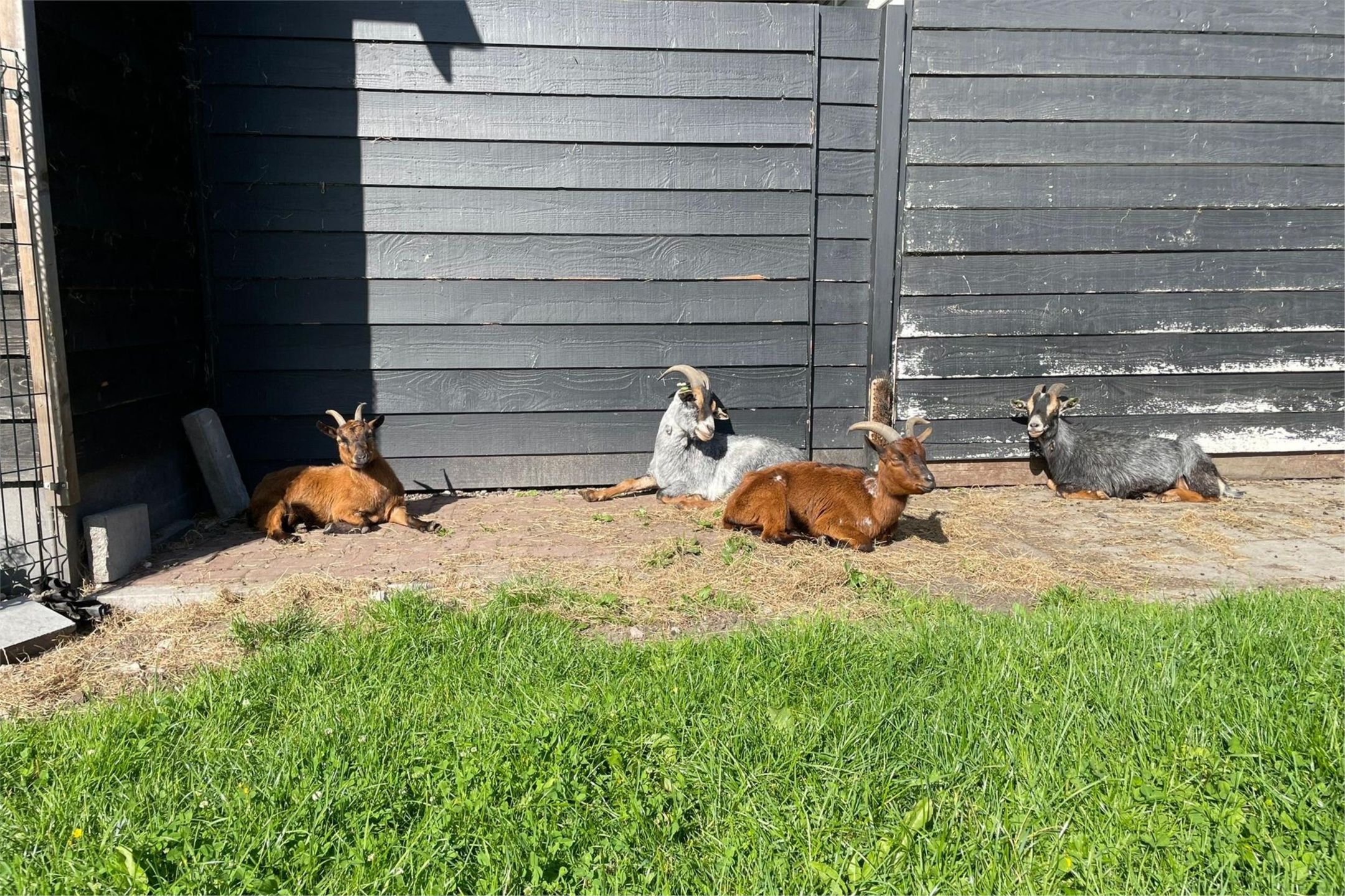 Photo 63 of Ruitenveen 1