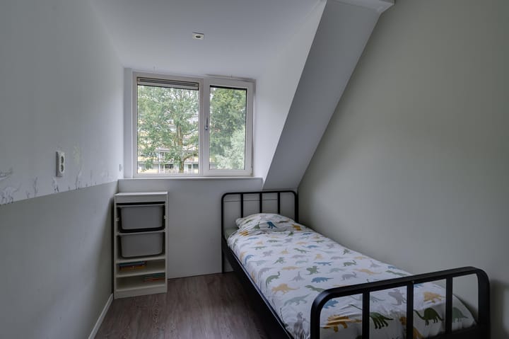 Foto 28 van De Wiel 242