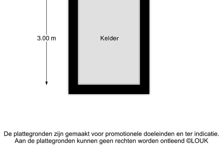 Bekijk foto 53 van Nassaulaan 55