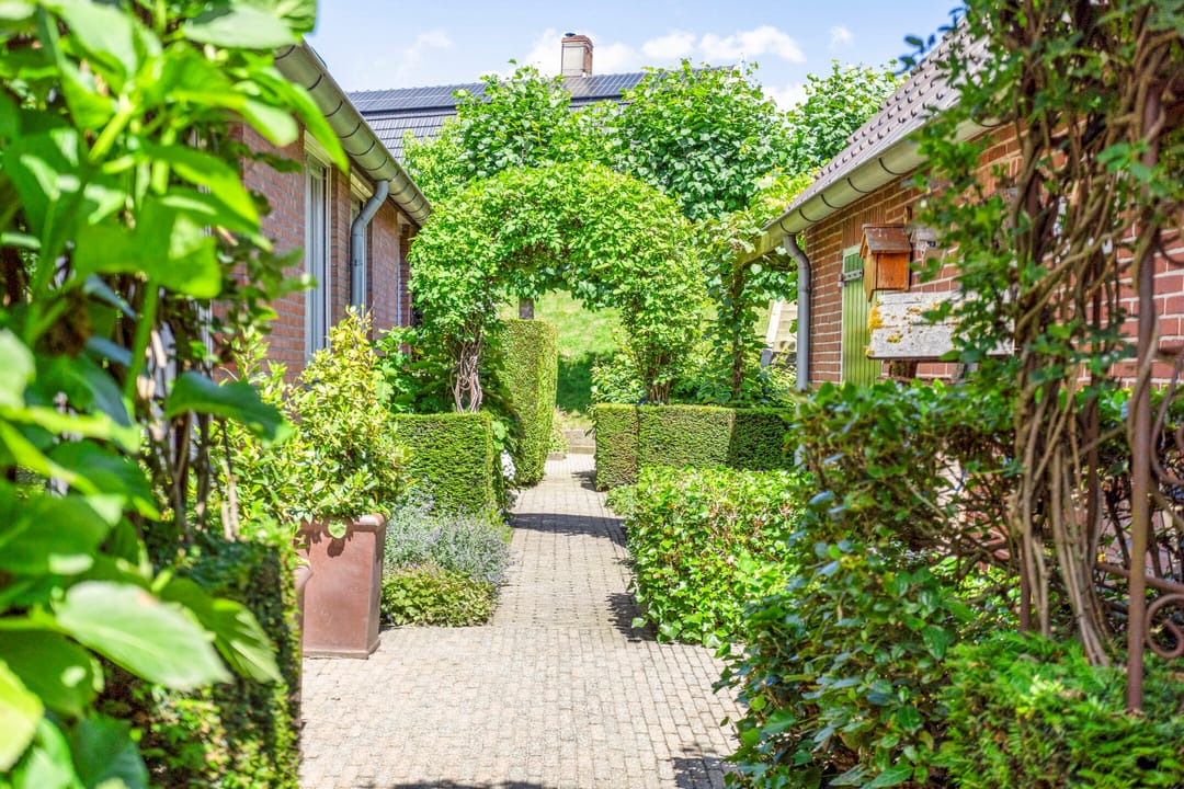 Foto 41 van Maasdijk 63