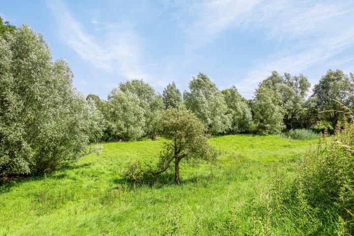 Foto 47 van Maasdijk 63