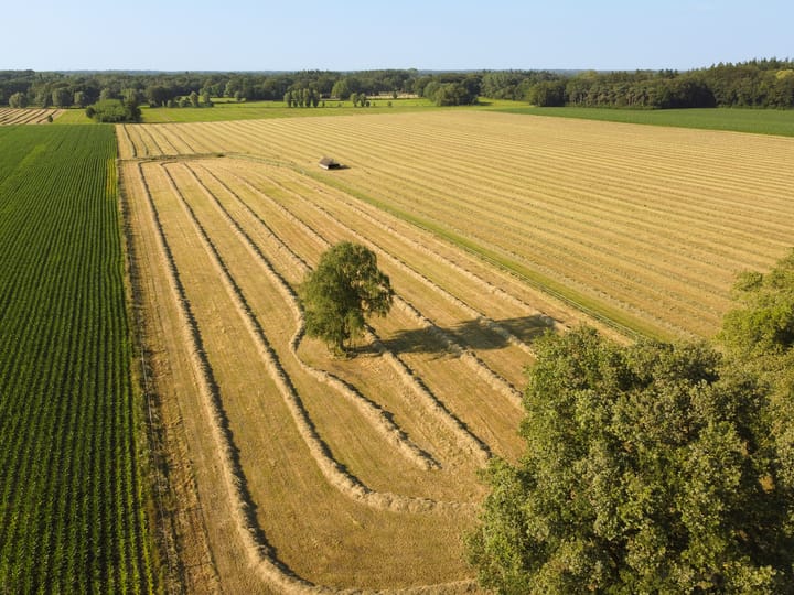 Foto 5 van Batterinkweg 7