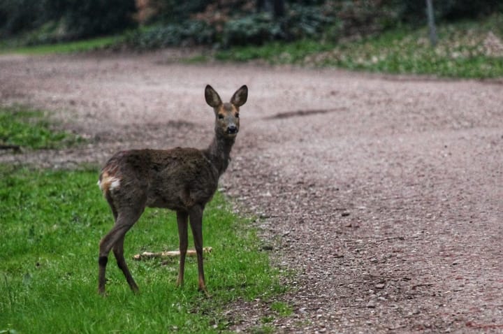 Foto 77 van Batterinkweg 7