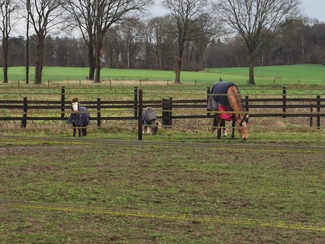 Foto 56 van Batterinkweg 7