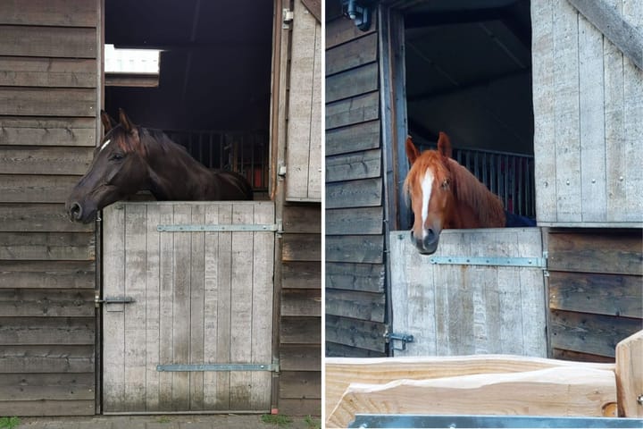 Foto 53 van Batterinkweg 7