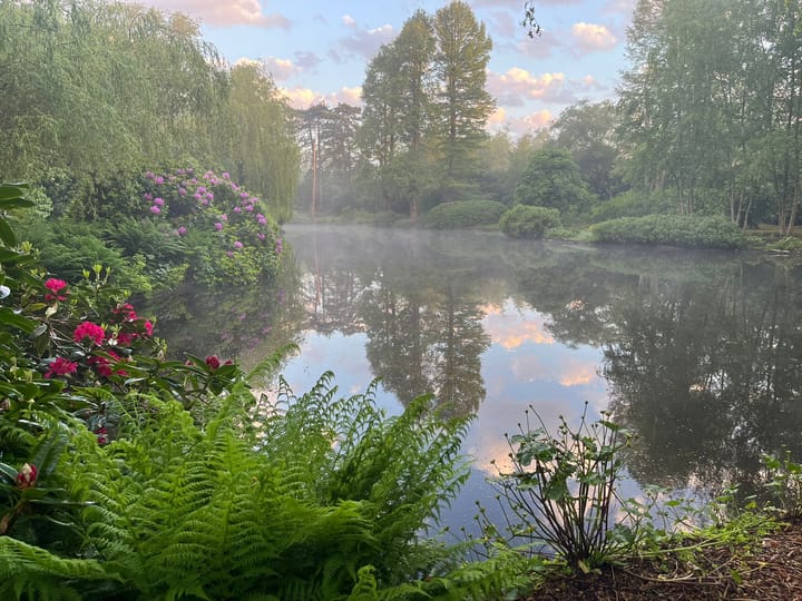 Foto 69 van De Savornin Lohmanlaan 51-H