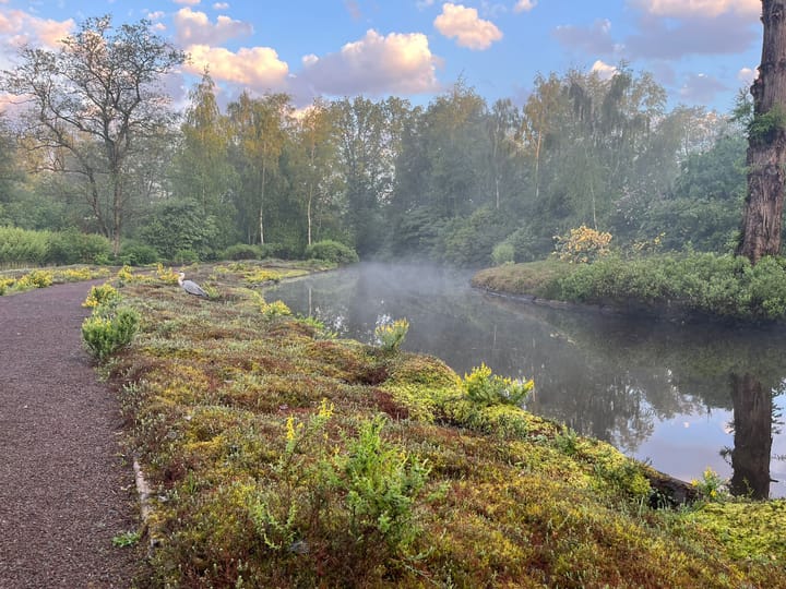 Foto 70 van De Savornin Lohmanlaan 51-H