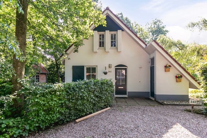 Foto 4 van Valtherweg 36-341