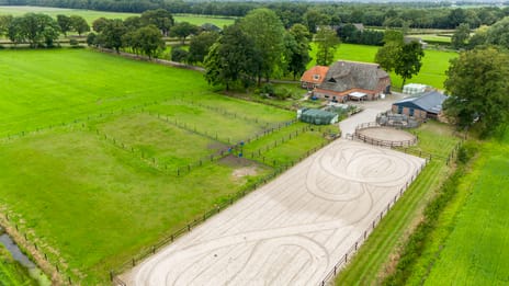 undefined main image