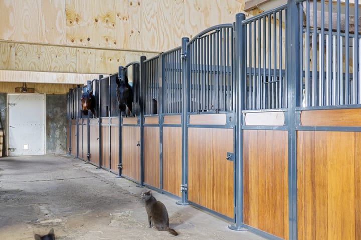 Photo 55 of Trekkenweg 15